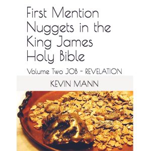 First Mention Nuggets in the King James Holy Bible: Volume Two Job To Revelation – Mann