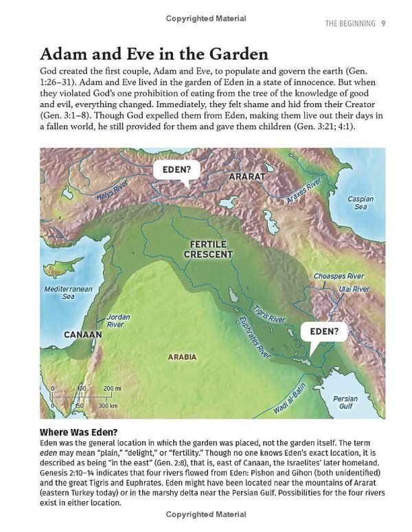 Illustrated Bible Maps - Rose Publishing - Image 3