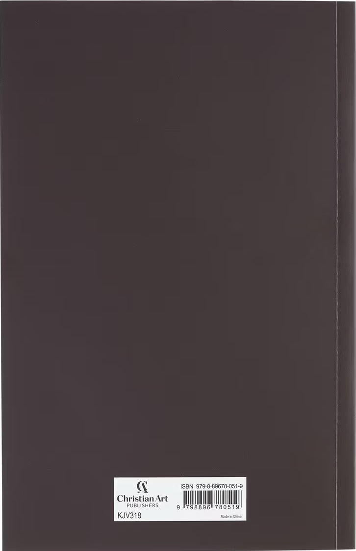 Lion Softcover King James Version Outreach Bible - Image 4