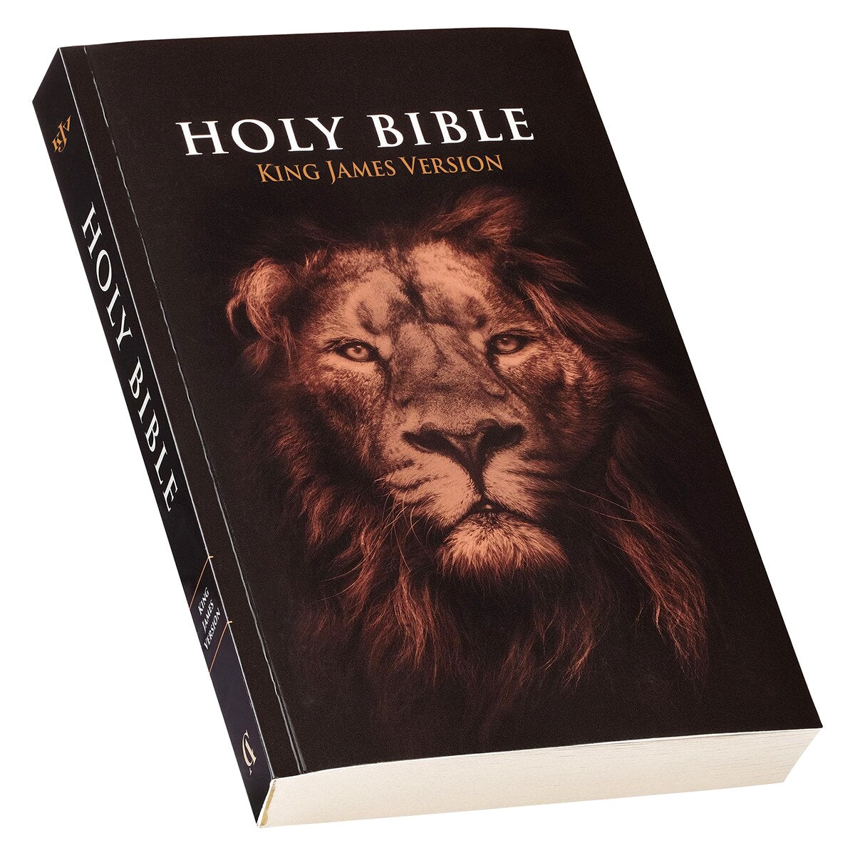 Lion Softcover King James Version Outreach Bible - Image 3