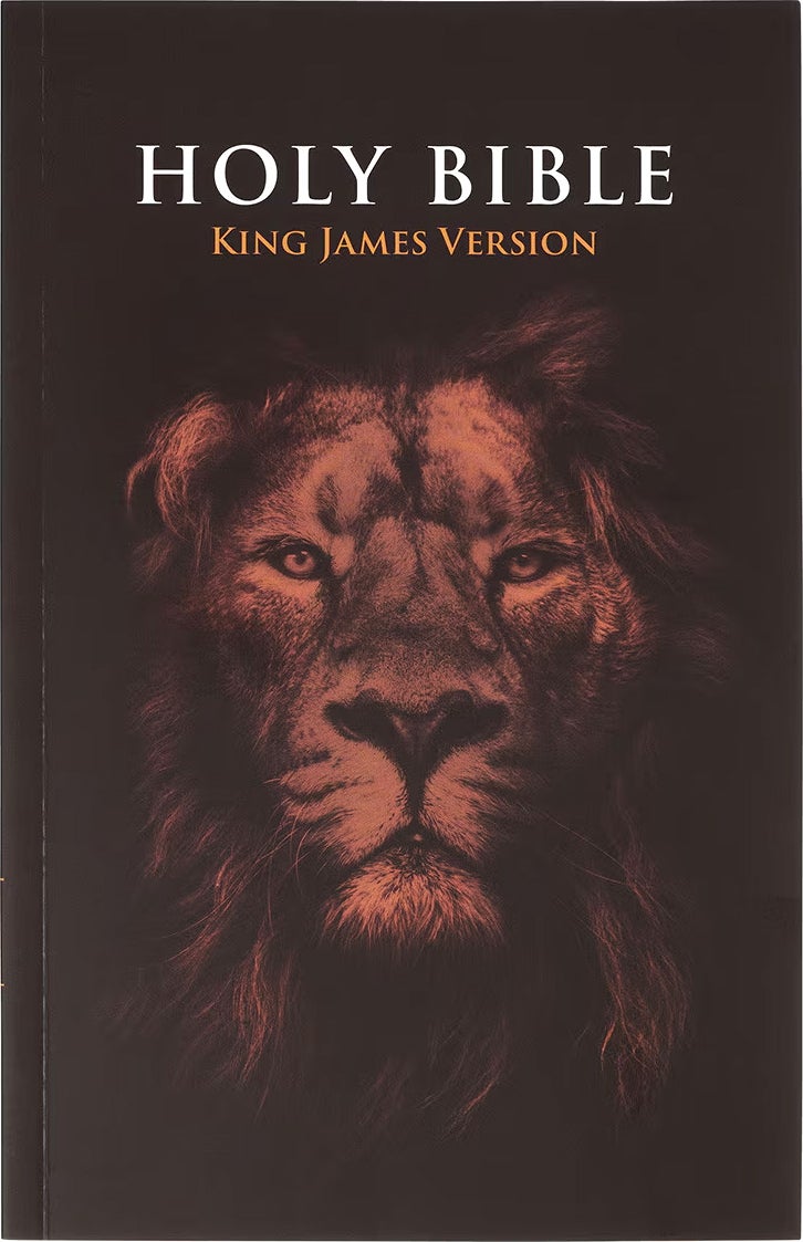 Lion Softcover King James Version Outreach Bible - Image 5