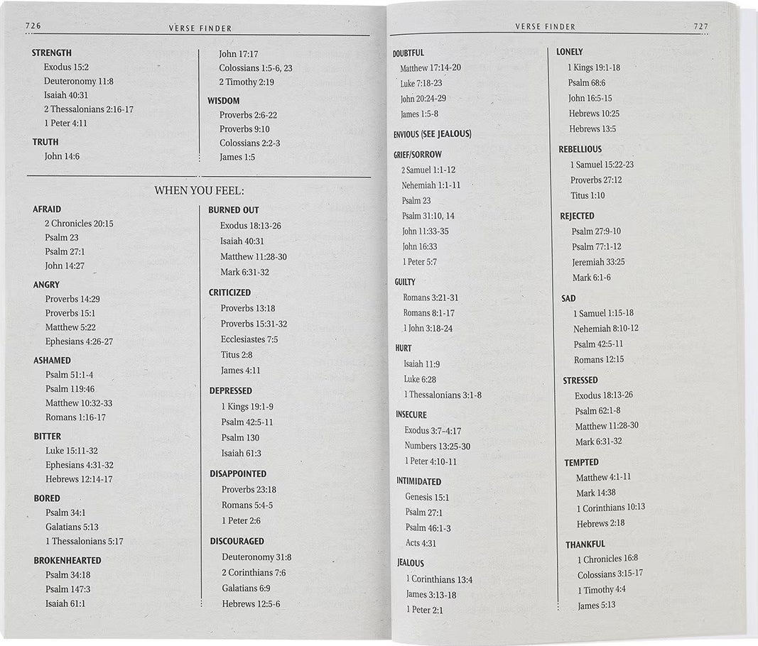 Lion Softcover King James Version Outreach Bible - Image 2