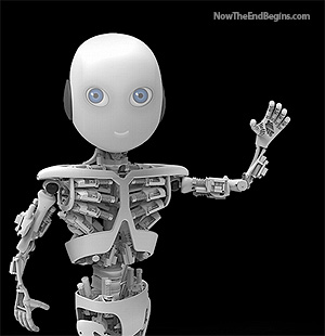 advanced-humanoid-robot-roboy-kurzweil