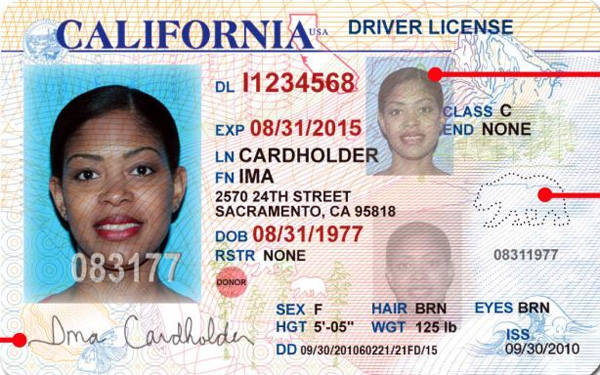 california-votes-to-give-drivers-licenses-to-illegal-alien-immigrants-cloward-piven-obama