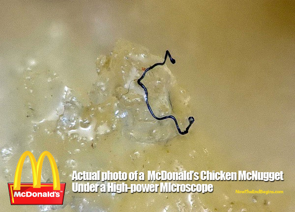 mcdonalds-chicken-mcnuggets-mysterious-hairlike-fibers-drudge-report-01