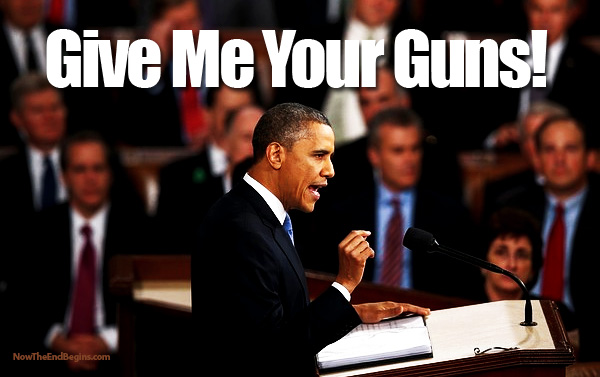 obama-gun-control-confiscation