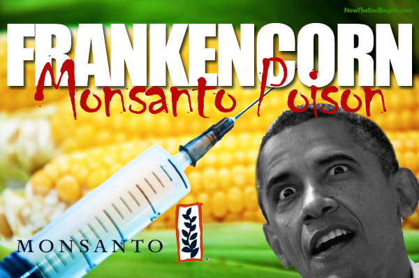 obama-signs-monsanto-protection-act-gmo-corn-frankenfood