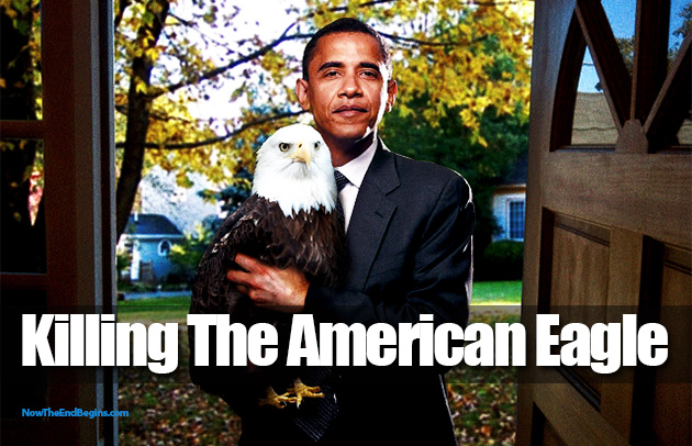 obama-to-allow-killing-american-eagle-socialist-marxist-communist
